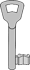 Buntbartschluessel